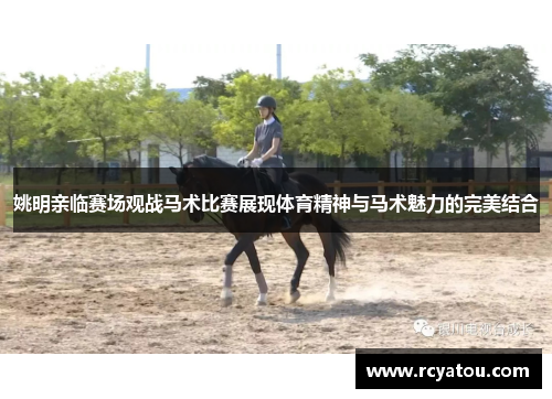 姚明亲临赛场观战马术比赛展现体育精神与马术魅力的完美结合